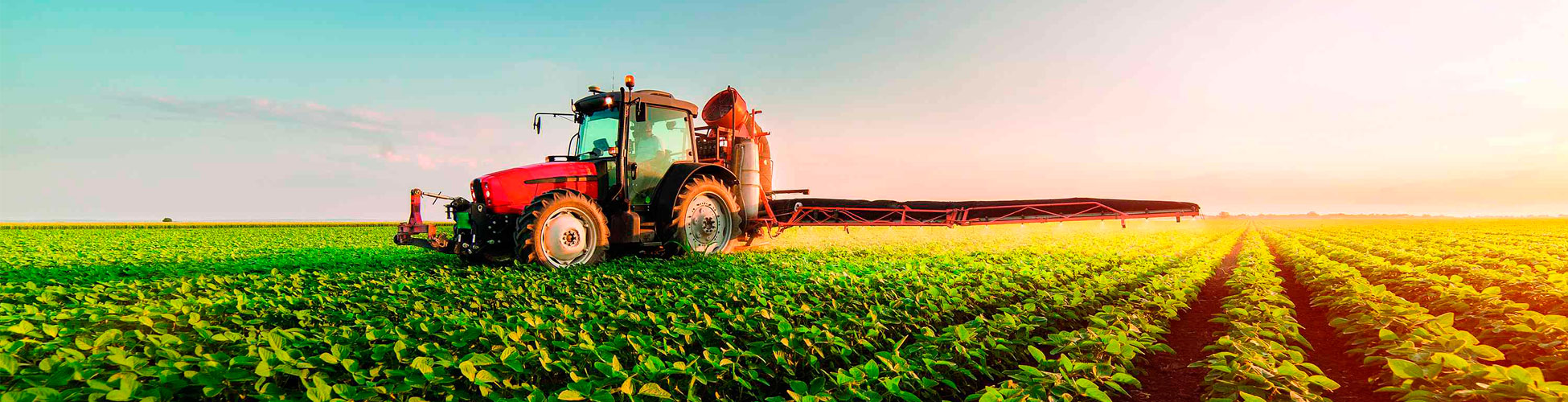 banner_agronegocio-1920x500